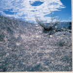 オブジェクト「地の風」