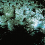 オブジェクト「風のことば’87」