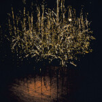 オブジェクト「凍える風」