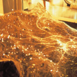 ライティングオブジェクト「水中花」