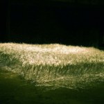 オブジェクト「草叢(そうせい)」